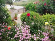 Pirgos Psilonerou Kreta, Pirgos Psilonerou: Schönes Haus in toller Anlage in Strandlage zu verkaufen Haus kaufen